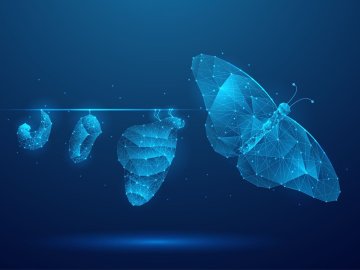 Illustration of butterfly evolution symbolizing digital transformation concept